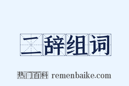 二辞组词是什么意思的图片